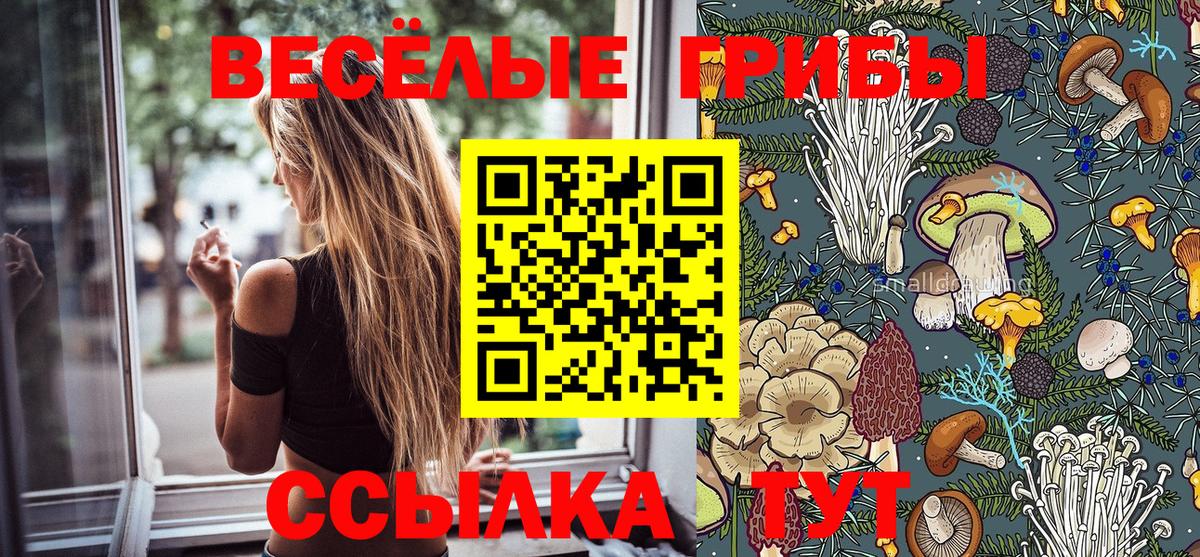 Псилоцибиновые грибы Cubensis  Вход с VPN  Псилоцибиновые грибы MAGIC MUSHROOMS  Сунжа 